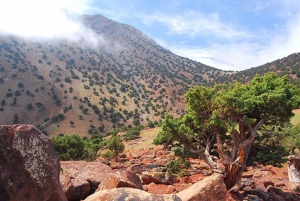 Марракеш: Однодневный поход с гидом на саммит Высоких гор