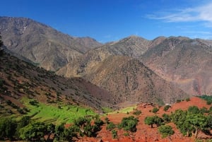 Марракеш: Однодневный поход с гидом на саммит Высоких гор