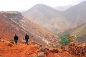 Марракеш: Однодневный поход с гидом на саммит Высоких гор