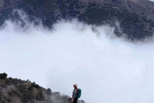 Марракеш: Однодневный поход с гидом на саммит Высоких гор