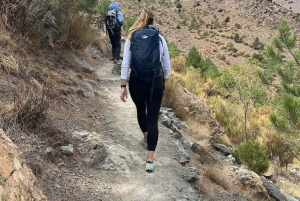 Марракеш: Однодневный поход с гидом на саммит Высоких гор