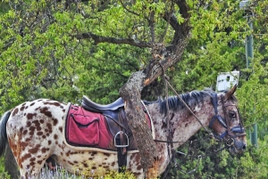 Marrakech: Highlight Day Trip Zip Line with Berber Village