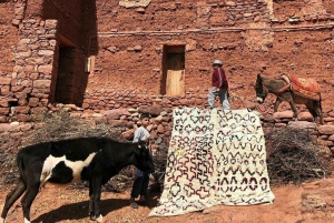 Marrakech: Highlight Day Trip Zip Line with Berber Village