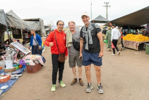 Marraquexe: 4 vales, aldeias berberes e caminhada nas montanhas do Atlas
