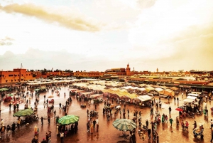 Marrakech: Historical Discovery Tour