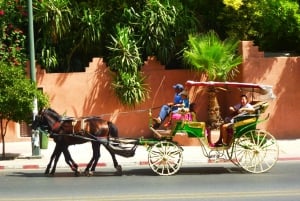Marrakech: Visita en coche de caballos