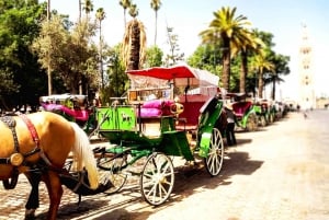 Marrakech: Paardenkoets Tour