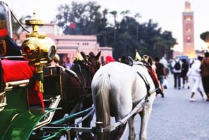 Marrakech: Tur med hestevogn