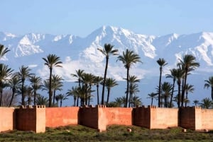 Marrakech: Hevosvaunukierros
