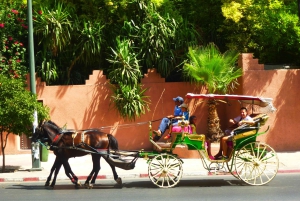 Marrakech : Visite en calèche