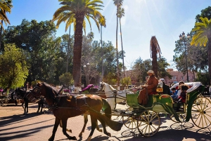 Marrakech : Visite en calèche