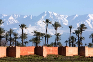Marrakech : Visite en calèche