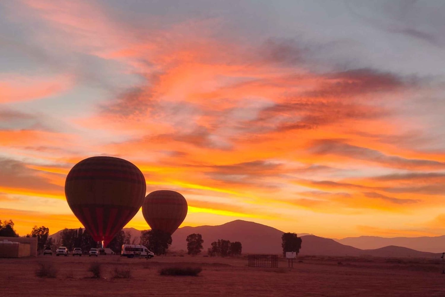 Marrakech: luftballongflygning med utsikt över Atlasbergen och berberfrukost