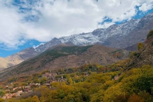 Marrakech: Imlil Atlasbergen Dagsutflykt med lunch