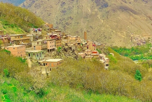 Marrakech: Imlil Atlasbergen Dagsutflykt med lunch