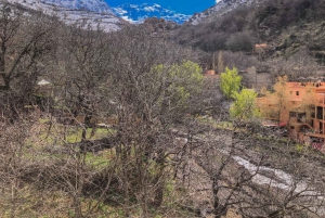 Marrakech: Imlil Atlas Mountains Day Trip with Lunch