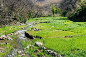 Marrakech: Imlil Atlas Mountains Day Trip with Lunch