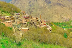 Marrakech: Imlil Atlas Mountains Day Trip with Lunch