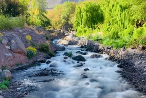 Marrakech: Imlil Atlas Mountains Day Trip with Lunch