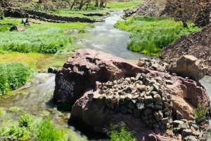 Marrakech: Imlil Atlas Mountains Day Trip with Lunch