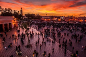 Marrakech: Jemma El Fnaa Food Tour met diner