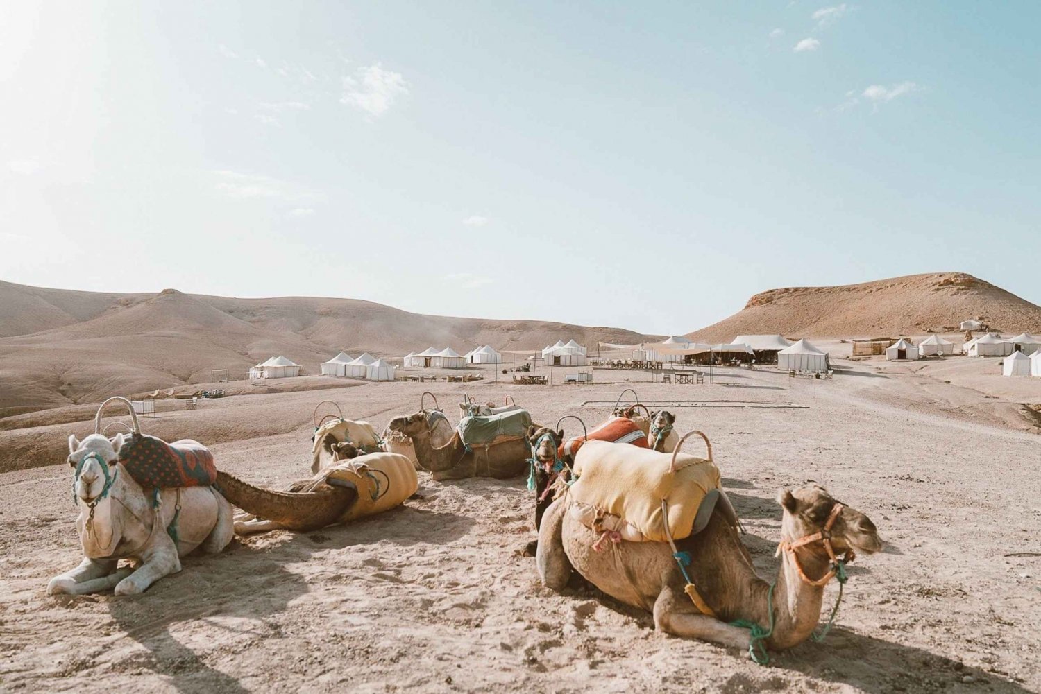 Sunset-Camel-Ride