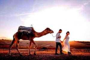 Vanuit Marrakech: Agafay Woestijn Zonsondergang Diner met Live Show