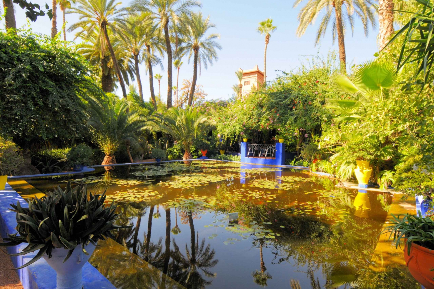 Marrakech: Majorelle Garden Entry and Lunch in Desert Camp