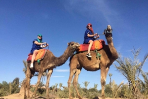 Marrakech: Majorelle Garden Tour with Palmeraie Camel Ride