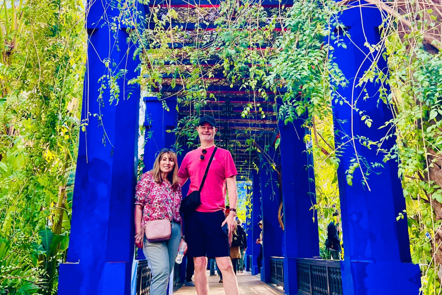 Marrakech: excursão ao jardim Majorelle e Menara e passeio de carruagem