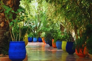 Marrakech: tour dei giardini Majorelle e Menara e giro in carrozza