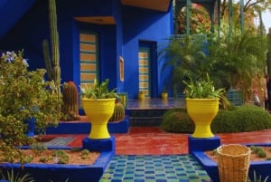 Marrakech: Majorelle & Menara Garden Tour and Carriage Ride