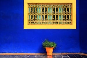 Marrakech: Majorelle & Menara Garden Tour and Carriage Ride