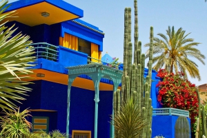 Marrakech: tour dei giardini Majorelle e Menara e giro in carrozza