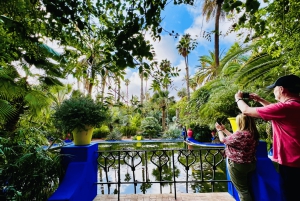 Marrakesz: wycieczka po ogrodach Majorelle i Menara oraz przejażdżka bryczką