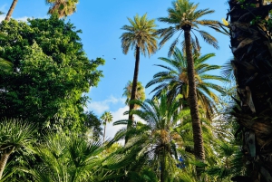 Marrakesz: wycieczka po ogrodach Majorelle i Menara oraz przejażdżka bryczką