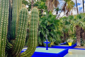 Marrakesz: wycieczka po ogrodach Majorelle i Menara oraz przejażdżka bryczką