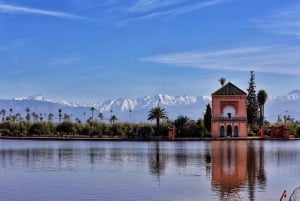 Marrakech: excursão ao jardim Majorelle e Menara e passeio de carruagem