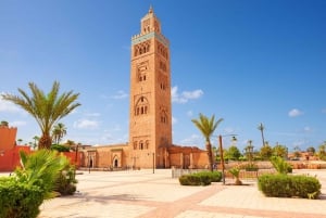 Marrakech: excursão ao jardim Majorelle e Menara e passeio de carruagem