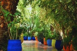 Marrakech: excursão ao jardim Majorelle e Menara e passeio de carruagem