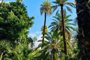 Marrakech: excursão ao jardim Majorelle e Menara e passeio de carruagem