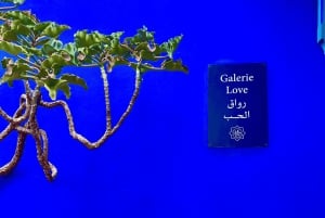 Marrakech: excursão ao jardim Majorelle e Menara e passeio de carruagem