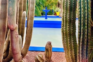 Marrakech: excursão ao jardim Majorelle e Menara e passeio de carruagem
