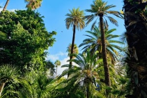 Marrakech: excursão ao jardim Majorelle e Menara e passeio de carruagem