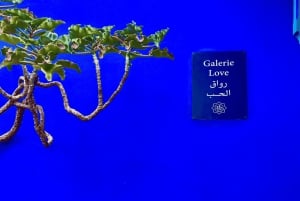 Marrakech: excursão ao jardim Majorelle e Menara e passeio de carruagem