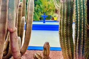 Marrakech: excursão ao jardim Majorelle e Menara e passeio de carruagem