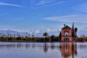 Marrakech: Majorelle- och Menara-trädgårdarna: rundtur och vagnsresa
