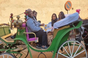 Marrakesh: Majorelle- & Menara-tuin en rit met paardenkoets