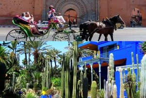 Marrakech: Menara Gardens Tour & Carriage Ride: Majorelle & Menara Gardens Tour & Carriage Ride