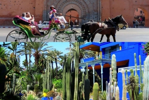 Marrakech: tour dei Giardini Majorelle e Menara con giro in carrozza